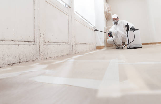 Post-remediation clearance in Lake Oswego
